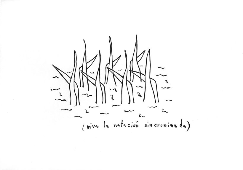 dibuperchas 6