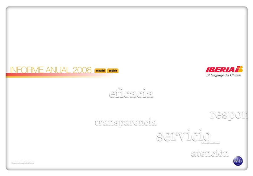 Informe Anual 2008 5