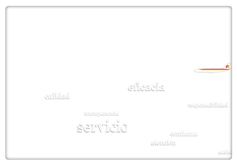 Informe Anual 2008 4