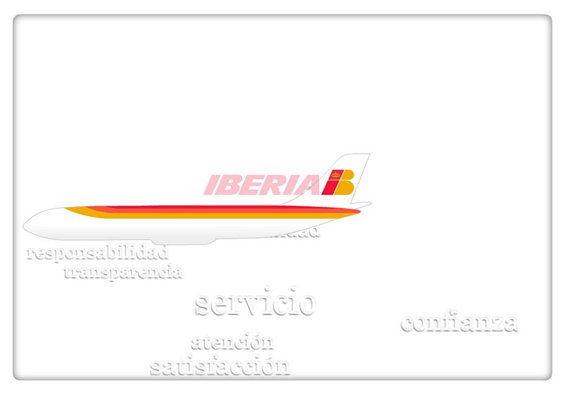 Informe Anual 2008 3