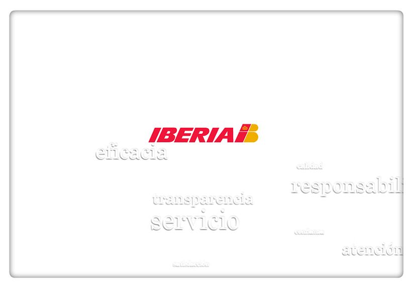 Informe Anual 2008 2