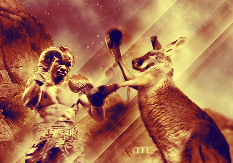 Boxing kangaroo 1