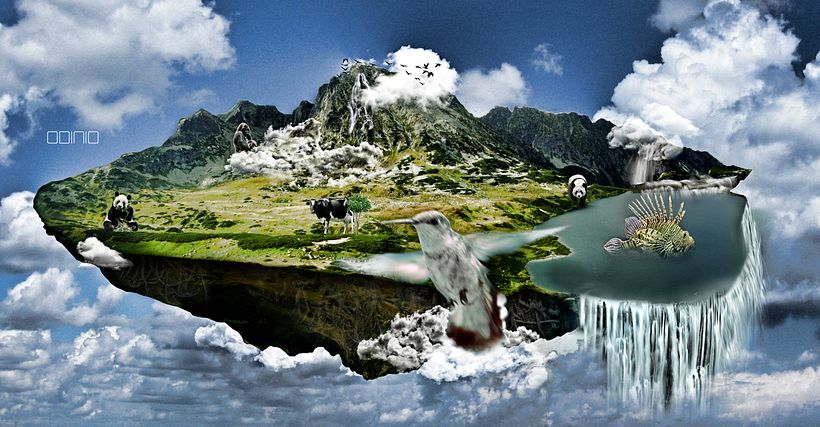 Animal Island 1