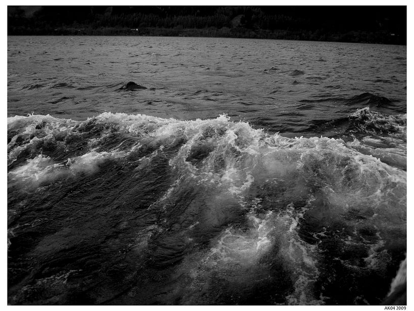 Scotland / Escocia 11
