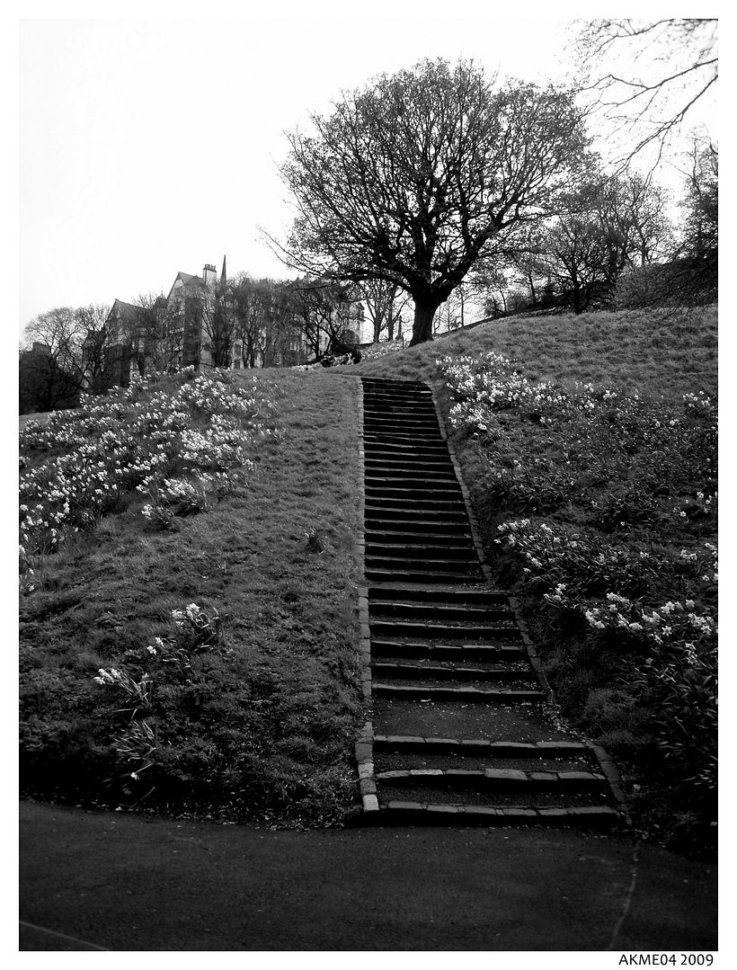 Scotland / Escocia 3