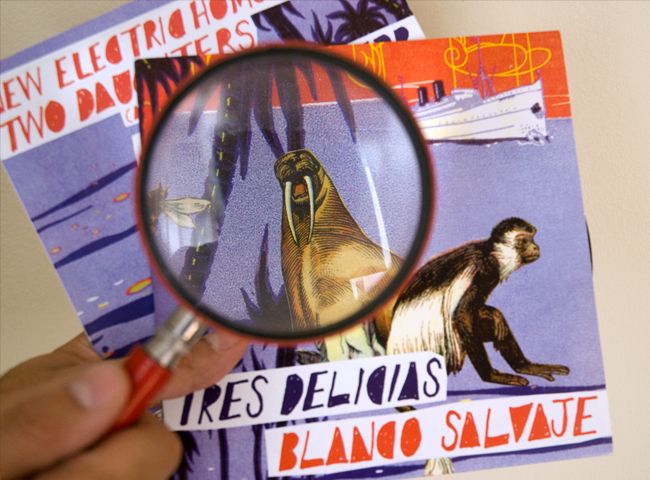 Single Tres Delicias / Wild White 2