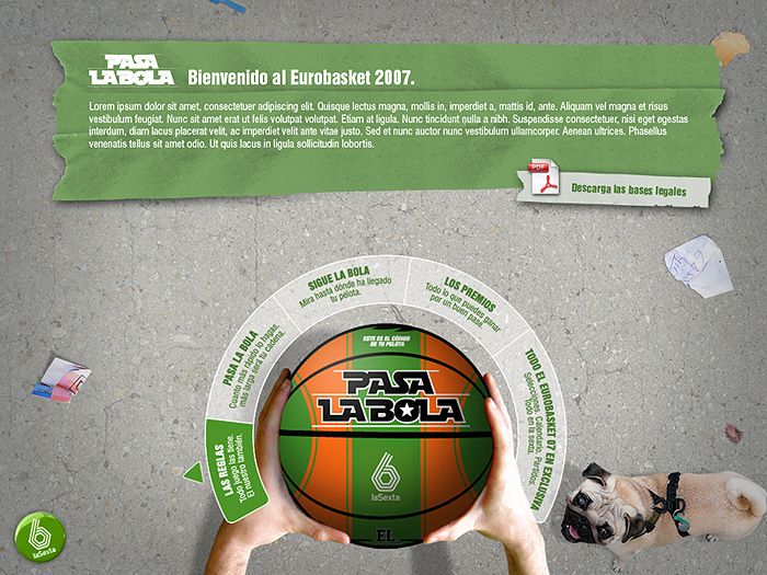 2008 · interactivo 13
