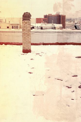 Nieve 4