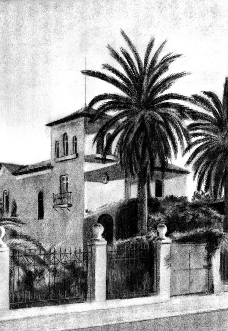 Carboncillos 3