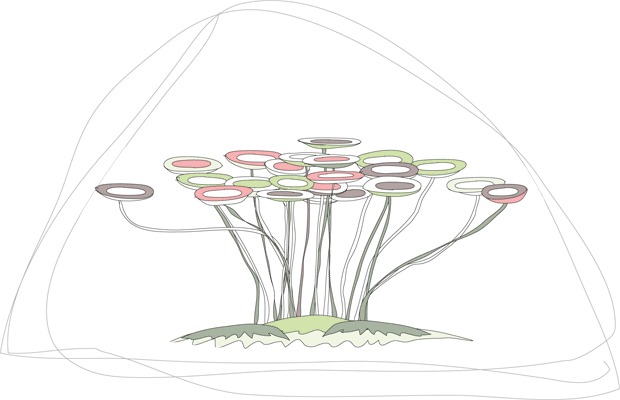Serie Vegetal 4