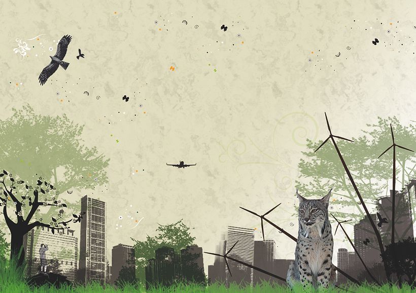 medio ambiente 2