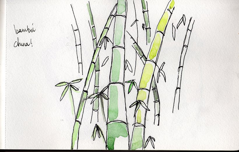 Moleskine 10