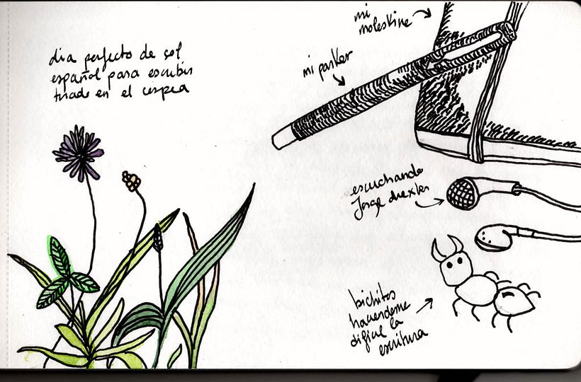 Moleskine 6
