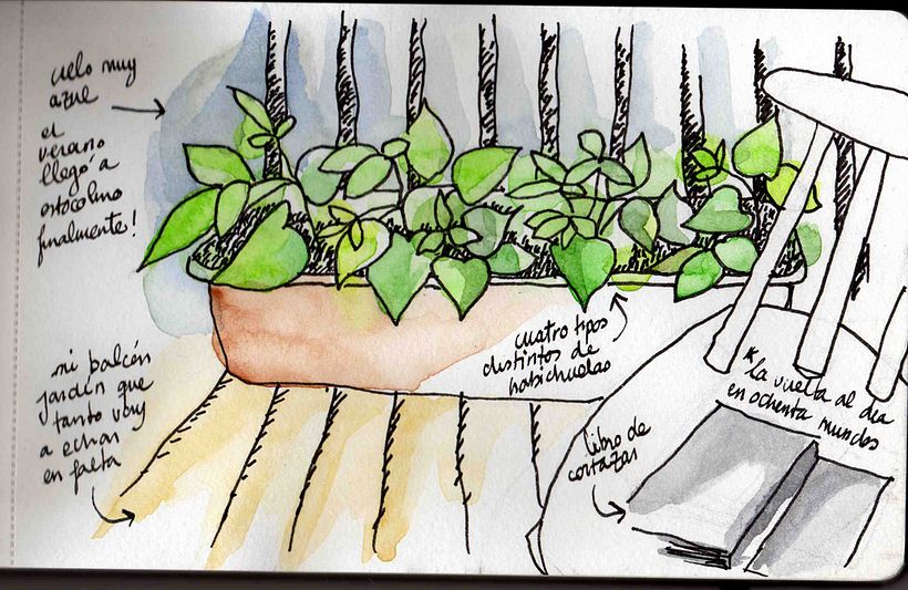 Moleskine 4