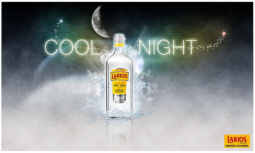 Larios Dry Gin 1