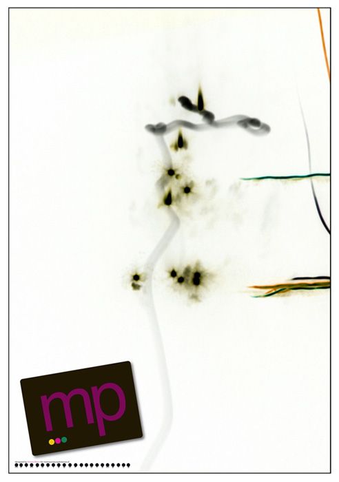 Of the organic to the somatic 9