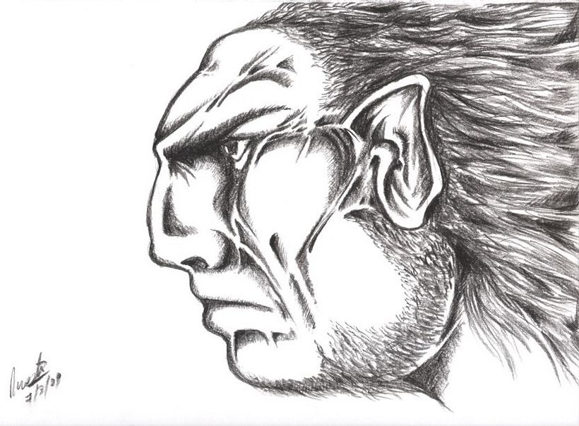 Dibujos a mano alzada 6