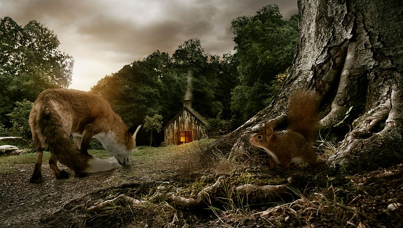 Forest 1