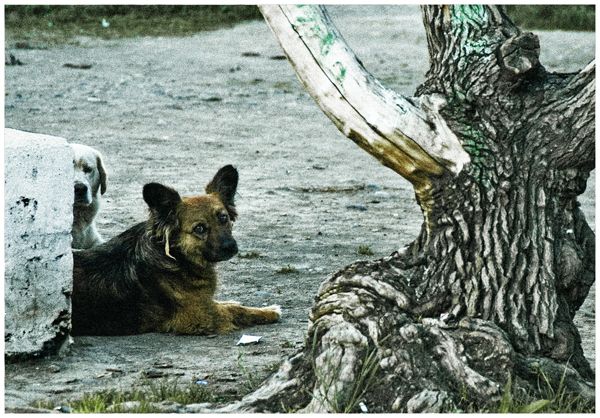 Vagabundos 16