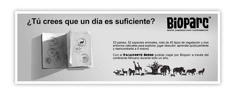 Propuesta Campaña para Bioparc Valencia 4