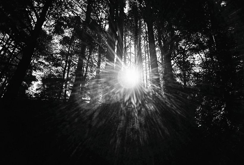 Mundo de sombras 2