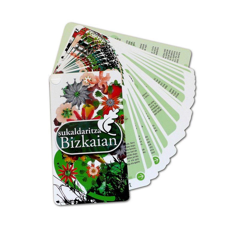 Recetas Bizkaia 2