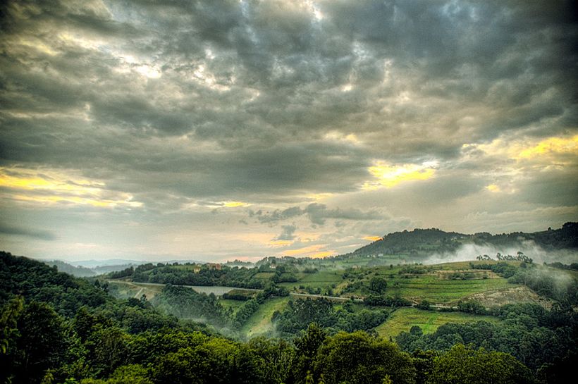 Landscape 14