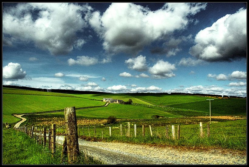 Landscape 2