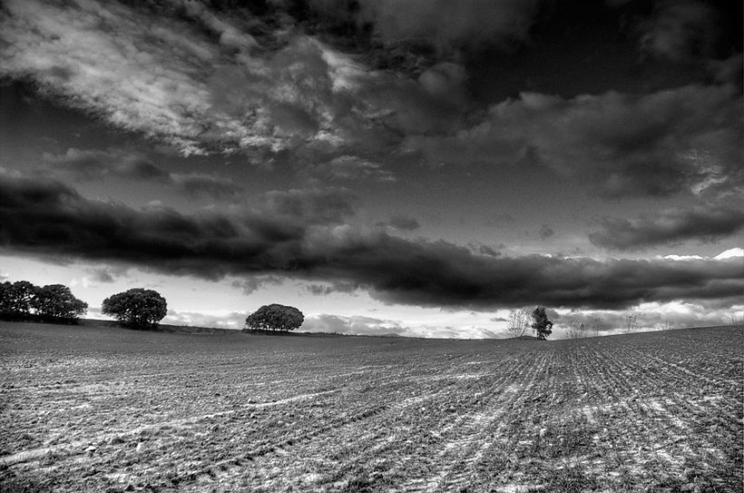 Black&White 7