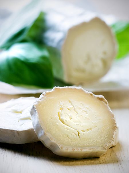 Food 24
