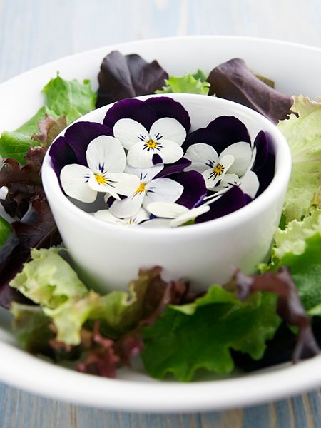 Food 20