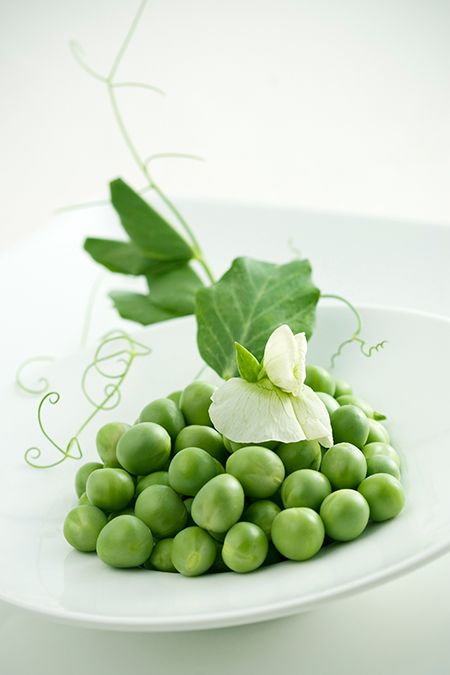 Food 19