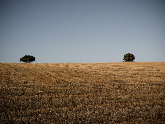 PHOTOSERIES 001 La Mancha 3