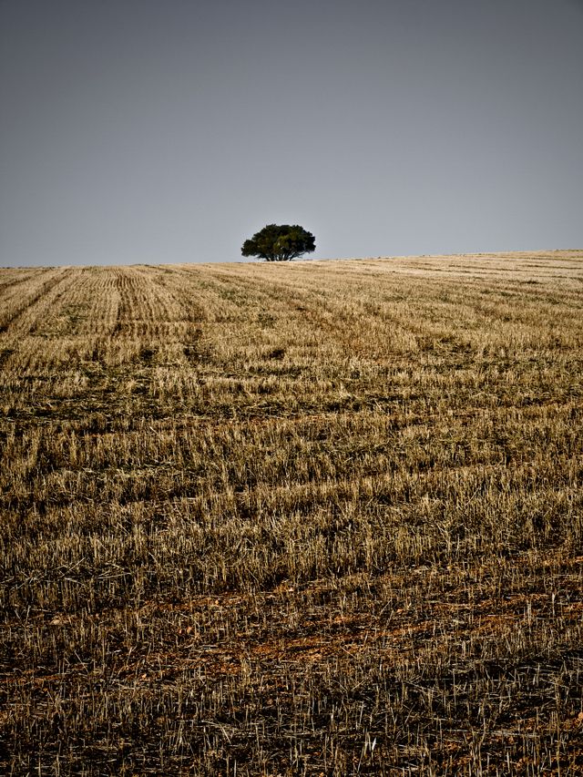 PHOTOSERIES 001 La Mancha 5