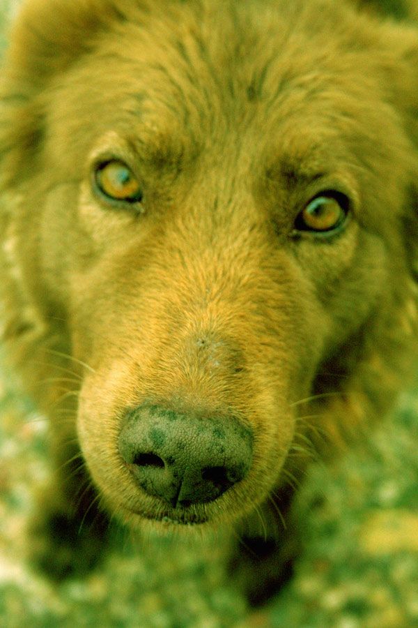 Fotografías {2002-2009} 7
