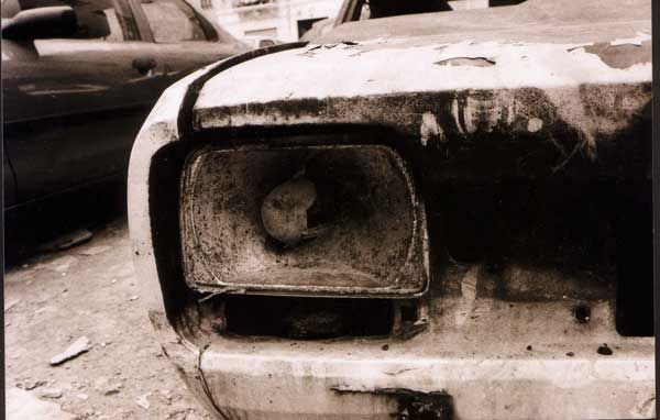 Fotografías {2002-2009} 11