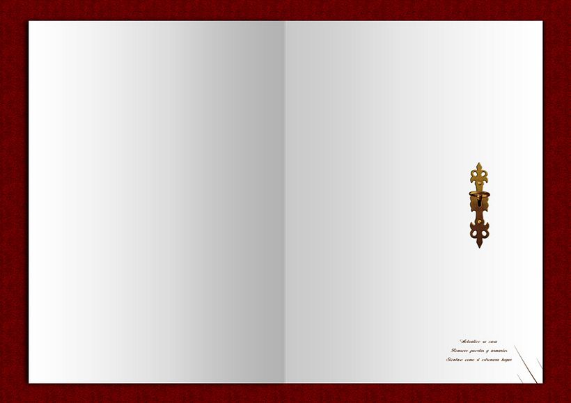 Libro folleto 1