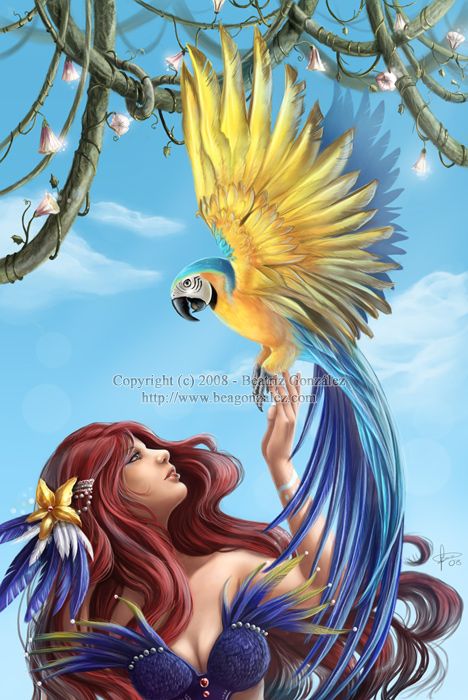 Ilustraciones Digitales 4