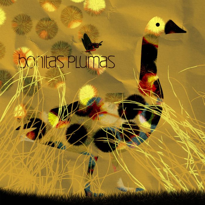 bonitas plumas 1