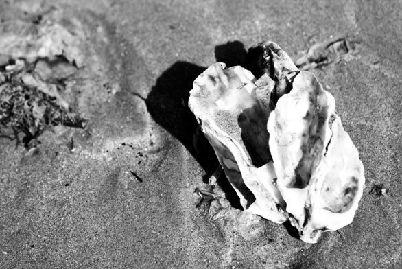 Día de playa 11
