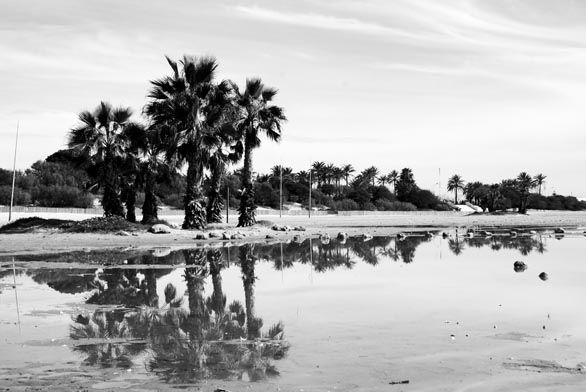 Día de playa 10