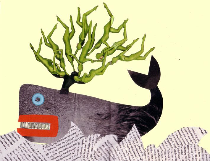 Collage 26
