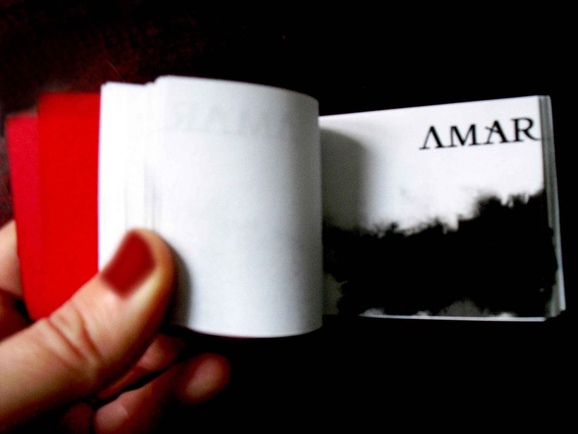 FLIP BOOK 6