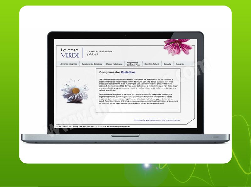 Diseño Web 9