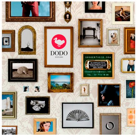 Dodo estudio 1