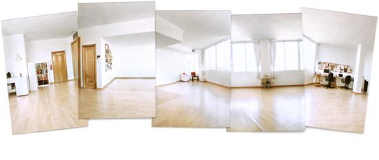 Dodo estudio 5