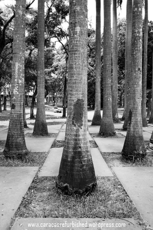 Fotografía Caracas 3