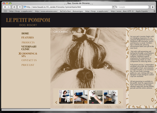 le petit pompom 5