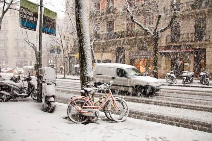 White BCN 10
