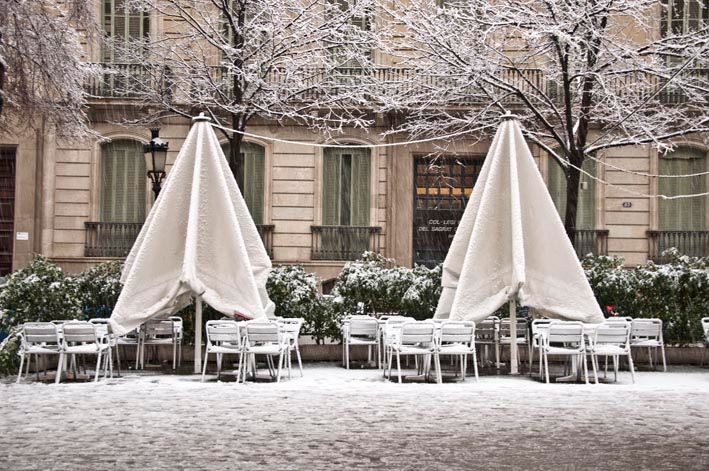 White BCN 8
